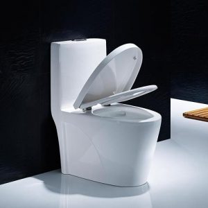 抽水馬桶是如何工作的？